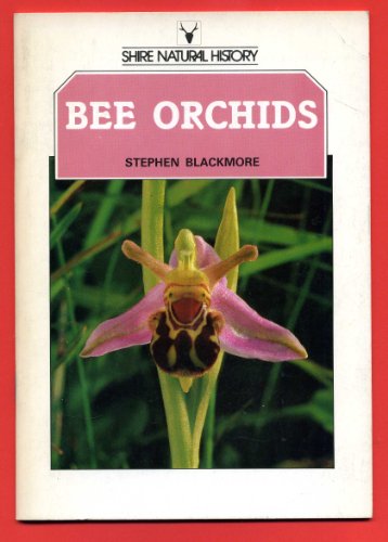 Bee Orchids