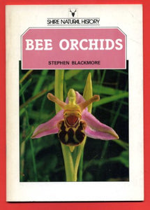 Bee Orchids 