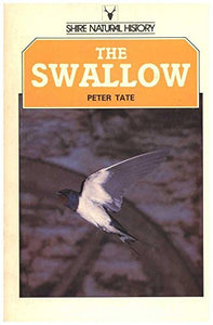 The Swallow 