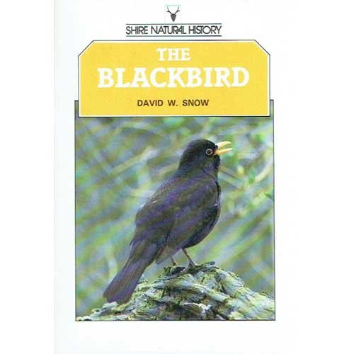 The Blackbird