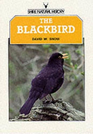 The Blackbird