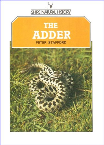 The Adder