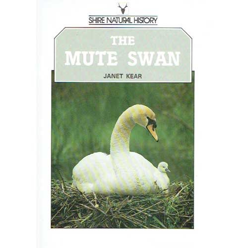 The Mute Swan