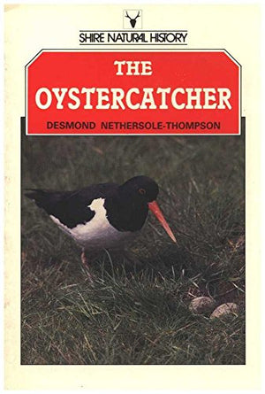 The Oystercatcher