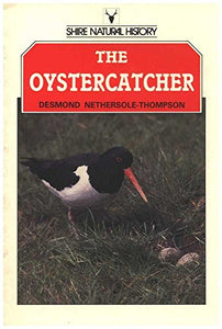 The Oystercatcher 