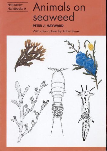 Animals on seaweed