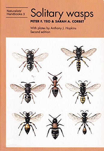 Solitary wasps