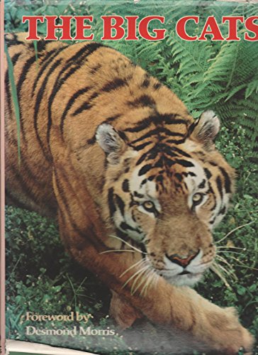 Big Cats of the World