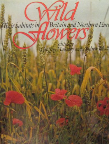Wild Flowers