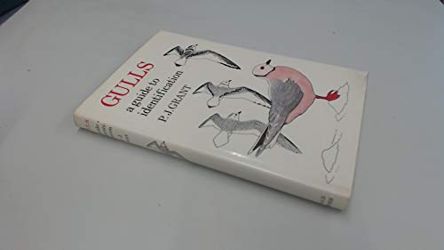 Gulls