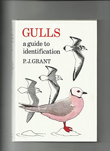 Gulls