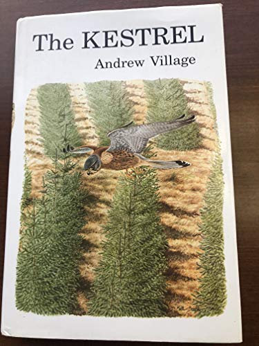 The Kestrel