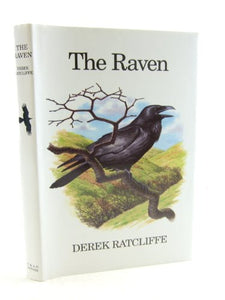 The Raven 