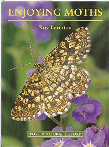 Enjoying Moths