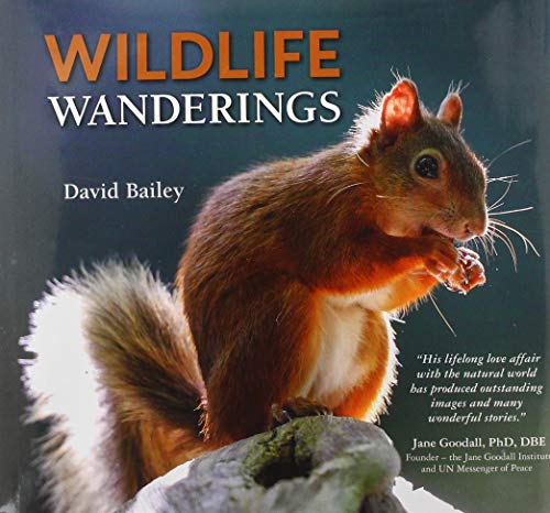 Wildlife Wanderings
