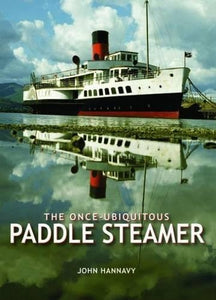 The Once-Ubiquitous Paddle Steamer 