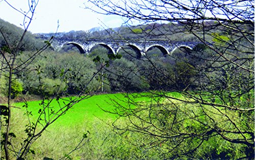 The River Fal