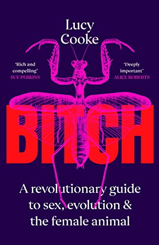 Bitch