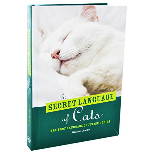 Secret Language of Cats