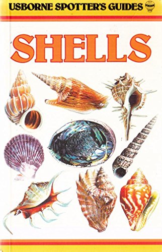 Shells