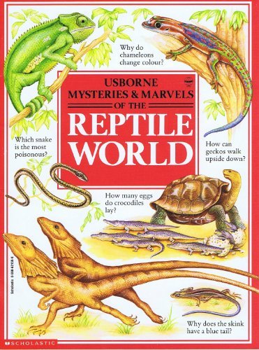 Animal World
