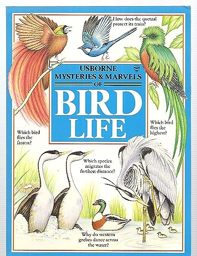 Bird Life
