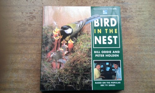 BIRDS IN THE NEST