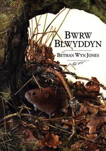 Bwrw Blwyddyn