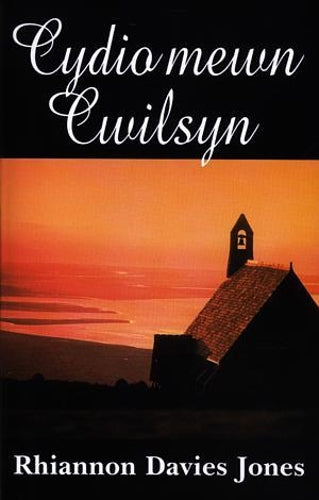 Cydio Mewn Cwilsyn