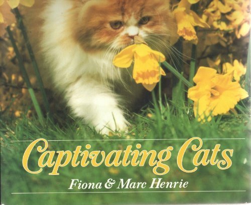 CAPTIVATING CATS