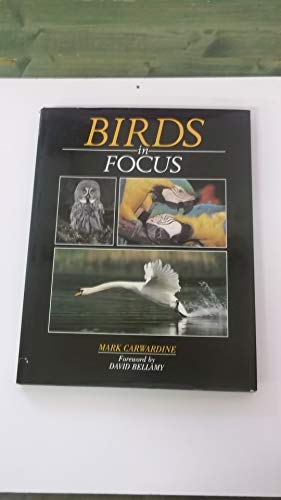 BIRDS IN FOCUS