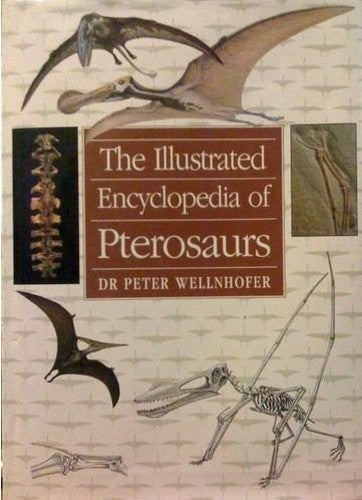 PTEROSAURS