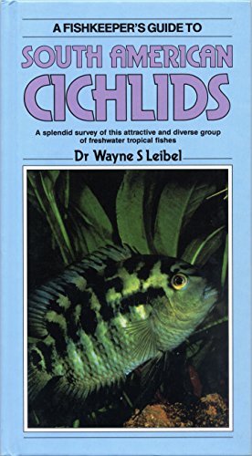 SOUTH AMERICAN CICHILDS