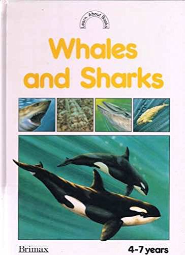 whales and sharks