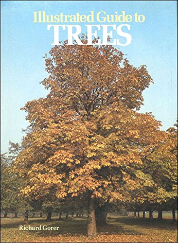 Illustrated Guide to Trees