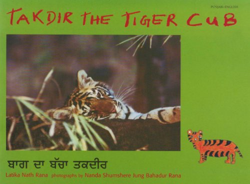 Takdir the Tiger Cub