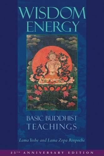 Wisdom Energy