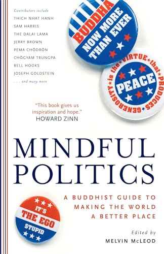 Mindful Politics