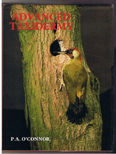 Advanced Taxidermy