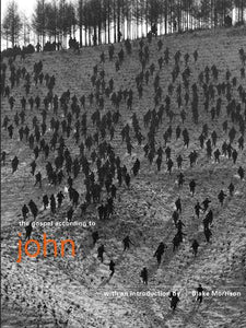 The Gospel According to John 