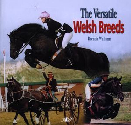 Versatile Welsh Breeds, The