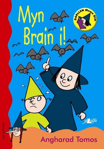 Cyfres Darllen Mewn Dim - Cam Ceridwen: Myn Brain I