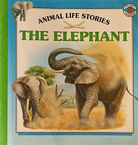 The Elephant