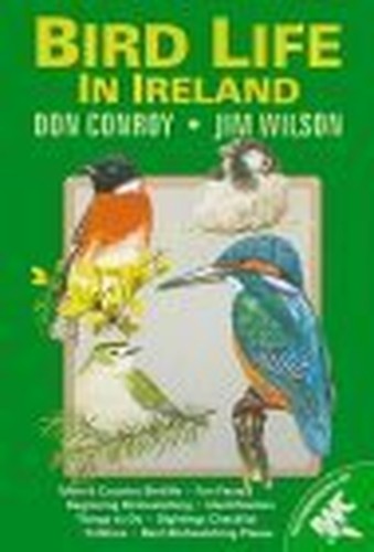 Birdwatching in Ireland