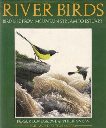 River Birds