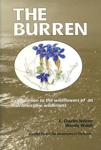 The Burren