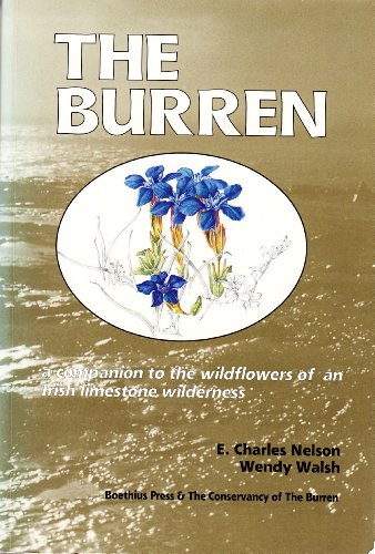 The Burren