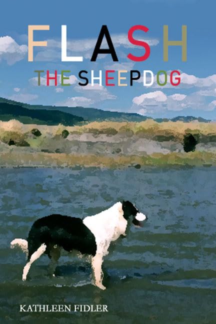 Flash the Sheep Dog