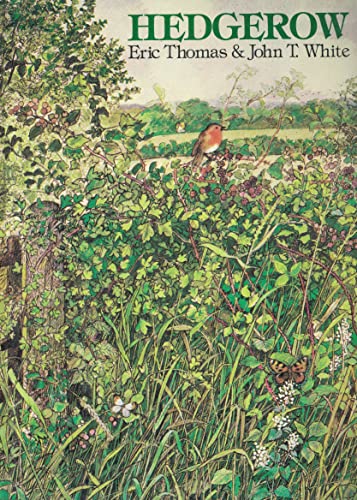Hedgerow