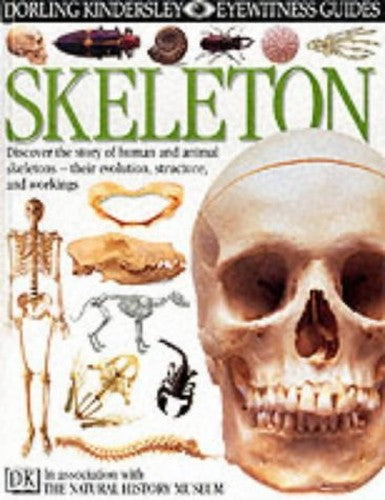 DK Eyewitness Guides:  Skeleton